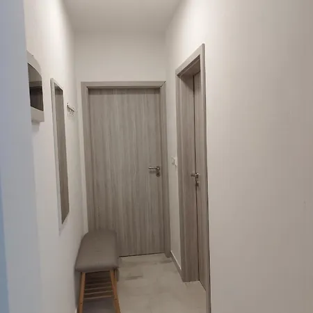 Tonis بوجي