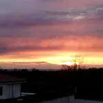 Lejlighed Tonis Buje